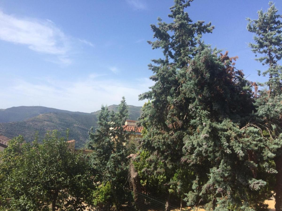Bed and Breakfast Palazzo Pascale Casal Sottano Екстер'єр фото